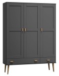 Dulap din lemn de pin 120 cm cuier/raftul sertar Venuci 3D nr2 culori