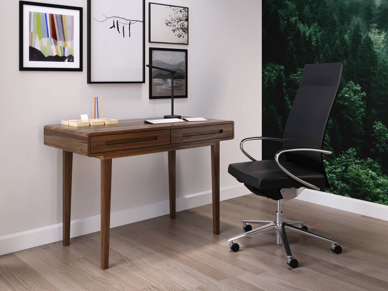 Birou din lemn de fag Beskid, Nuc Italian