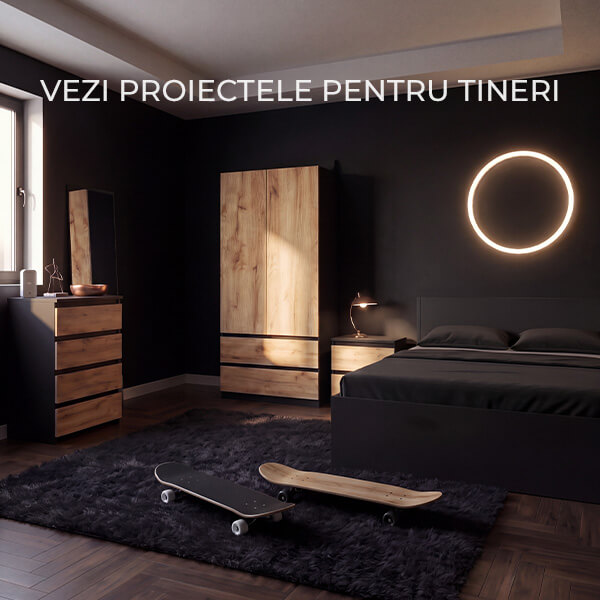 Proiect pentru tineri